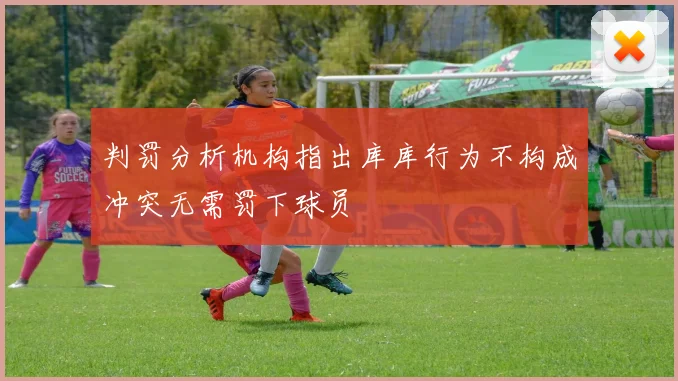 判罚分析机构指出库库行为不构成冲突无需罚下球员