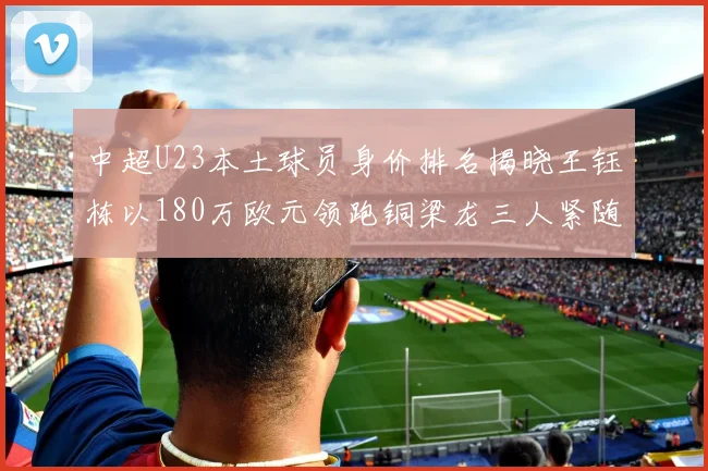 中超U23本土球员身价排名揭晓王钰栋以180万欧元领跑铜梁龙三人紧随其后