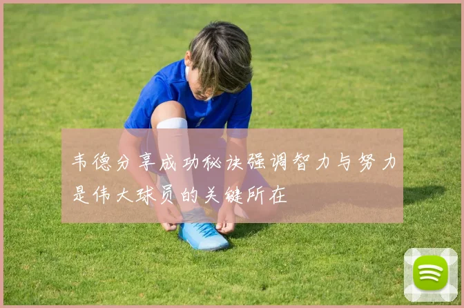 韦德分享成功秘诀强调智力与努力是伟大球员的关键所在