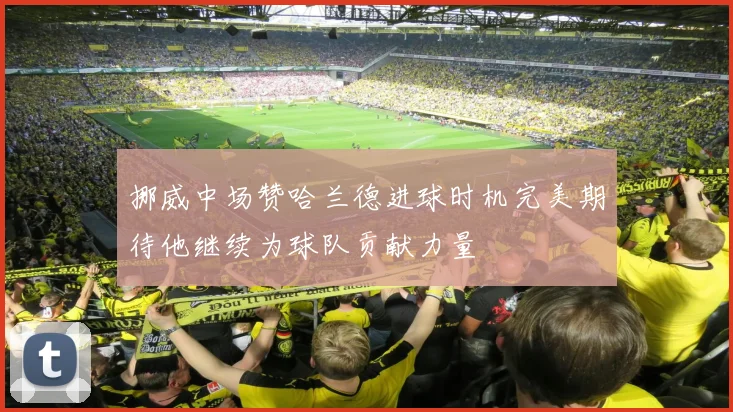 挪威中场赞哈兰德进球时机完美期待他继续为球队贡献力量